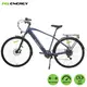 MS ENERGY električni bicikl C11 L