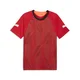 PUMA individualFINAL Football Jersey Men, Sport, Glowing Red/Mint Jelly/Black, L