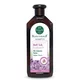 Krauterhof Šampon za kosu Beli Luk, 750ml