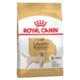 Veliko pakiranje Royal Canin Breed + Quick Pick etui z vrečkami za iztrebke gratis! - Labrador Retriever Adult (12 kg)