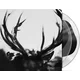 Ihsahn - Ihsahn (Black Yolk Coloured) (2 LP)