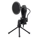 Quasar 2 GM200-1 Microphone