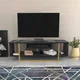 Hanah home TV Komoda Asal 120 Crno-Zlatna