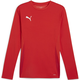 Dres z dolgimi rokavi Puma teamGOAL LS Jersey