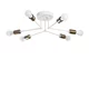 OPVIQ Luster Sparrow 1232