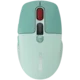 CANYON mouse MW-26 LCD Silent Dual Mode Wireless Green