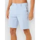 Rip Curl Boardwalk Phase Nineteen moške kratke hlače ice blue
