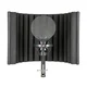 sE Electronics X1 S Studio Bundle