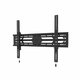 Neomounts WL30S-950BL19 tv nosilec, 55