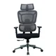 Ergovision Ergonomski pisarniški stol APOLLO | Barva: Siva