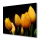 tulup.si Steklena podloga za rezanje Rumena tulipani 60x52 cm