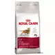 ROYAL CANIN MAČJA HRANA FIT 32 - VARČNO PAKIRANJE: 2 X 10 KG