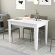 Hanah Home Trpezarijski sto Kiev 510 110x75x72cm Beli