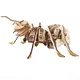 Čarolijashop 3d drvene puzzle - MRAV ( 673)