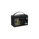 Akumulator z zaslonom LiFePO4 12,8V/100Ah