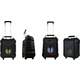 Microlab TL20 karaoke zvucnik 200W, Bluetooth, LED, 12V/4500mAh, Aux, USB, microSD, FM RADIO,Mic*2