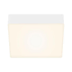 Briloner 7069-016 - LED stropno svetlo LED/11W/230V belo