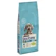 Dog Chow Puppy Large Ćuretina, 14 kg