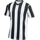 Dres Nike M NK DF STRP DVSN V JSY SS