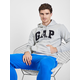GAP Pulover 646697 Siva
