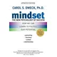 Mindset