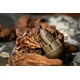 Nash Marker Lead 3 oz(85g)
