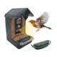 Kamera s krmilnico za ptice BERGER&SCHROTER Bird Solarna - zelena