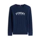 TOMMY HILFIGER Pulover marine/bela