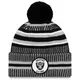 Oakland Raiders New Era 2019 NFL Official On-Field Sideline Cold Weather Home Sport 1960 zimska kapa