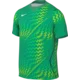 Nike Dres Dri-FIT Gardien VI Goalkeeper