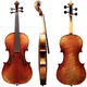 Violina 4/4 Maestro 51 Gewa – različni modeli