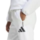 Adidas W Z.N.E. PT, ženske hlače, bijela KTJ90