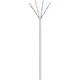 Omrežni kabel U/UTP CAT5e 100m siv PVC