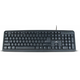 TRACER Standardna USB tastatura US layout crna Maverick