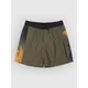 Quiksilver Everyday Holmes Volley 16 Kids kopalne hlače grape leaf holmes