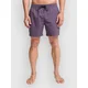 Billabong All Day Lb kopalne hlače dusty grape