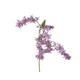 Veštački Cvet 110cm Lilly