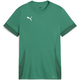 Dres Puma teamGOAL Matchday Jersey jr