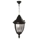 Opviq Spoljna lampa BFE-68186-BSY-M1, 70 cm, Viseća, IP65, E27, 60W, Crna