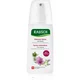 Rausch Volume Spray Conditioner With Mallow pršilo za volumen za lase brez volumna 100 ml