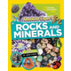 Absolute Expert: Rocks & Minerals