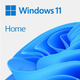 Microsoft Windows 11 Home FPP 64-bit HAJ-00089
