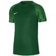 Jerey Nike Dri-FIT Academy