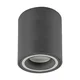 Rabalux Plafonjera Kobald, GU10 25W, D8cm, Siva