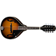 FENDER mandolina FM-101 SBST