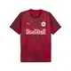 PUMA FC Red Bull Salzburg 25/26 Third Jersey Men, Sport, Dark Cherry/Metallic Gold, L