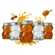 shumee 5x steklenih kozarcev TEDDY BEAR 300 ml z navojnim pokrovčkom za med, marmelado, začimbe, mini kozarec