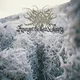 Signs Of The Swarm - Amongst The Low & Empty (180 g) (LP)