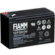 Fiamm olovna baterija 12 FGH 36 12V/9Ah