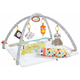 Fisher Price 5-senses igralna podloga